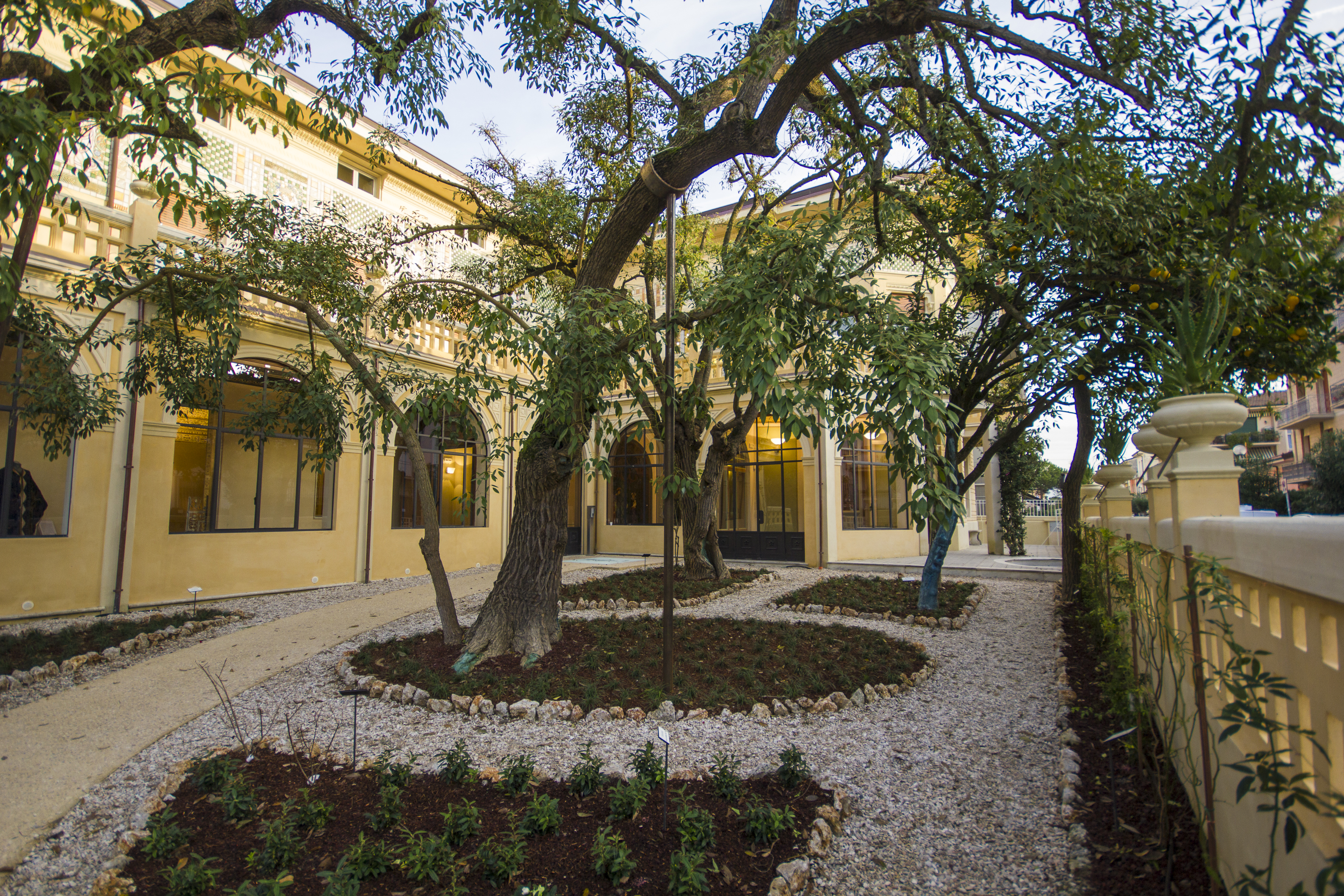 Panoramic view of the garden with its plants